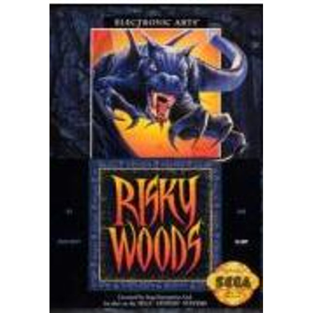 Risky Woods - Sega Genesis