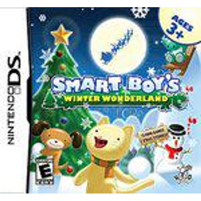 Smart Boy's Winter Wonderland - Nintendo DS