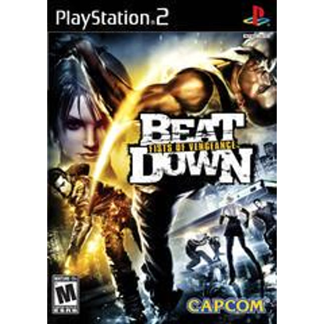 Beat Down Fists of Vengeance - Playstation 2