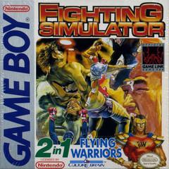 2 In 1: Flying Warriors / Fighting Simulator - GameBoy