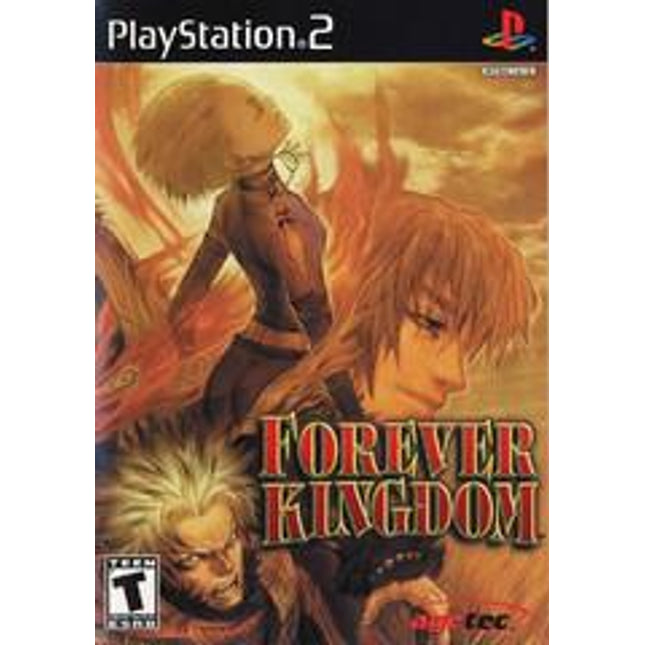 Forever Kingdom - Playstation 2
