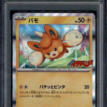 Pawmi - 035/SV-P - PSA 9 - Holo - Corocoro Promo - Pokemon - 65373