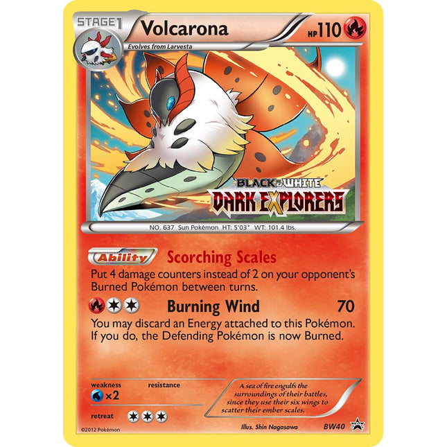 Volcarona (BW40) (Staff Prerelease Promo) [Black & White: Black Star Promos]