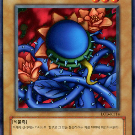 Darkworld Thorns - LOB-K114 - Korean - Yu-Gi-Oh - Near Mint - Common - Legend of Blue Eyes White Dragon