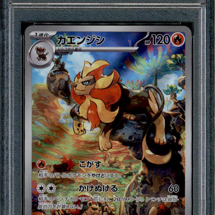 Pyroar - 077/073 - PSA 10 - AR Japanese - SV1a - Pokemon - 55876