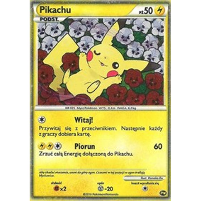 Pikachu (Polish) [Pikachu World Collection Promos]