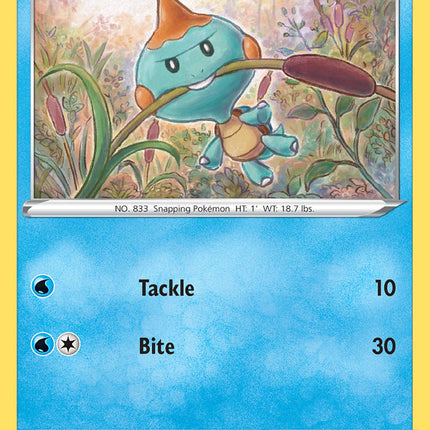 Chewtle (026/072) [Sword & Shield: Shining Fates]
