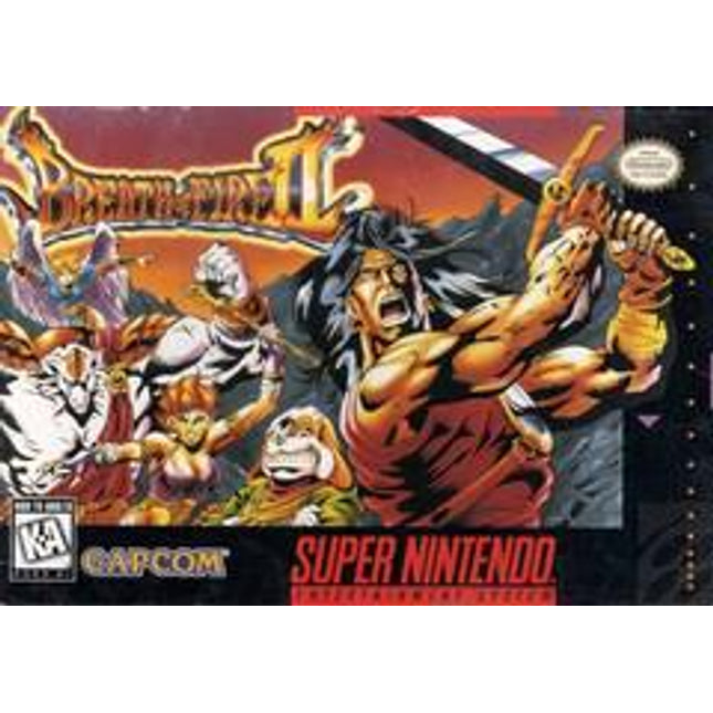 Breath of Fire II - Super Nintendo