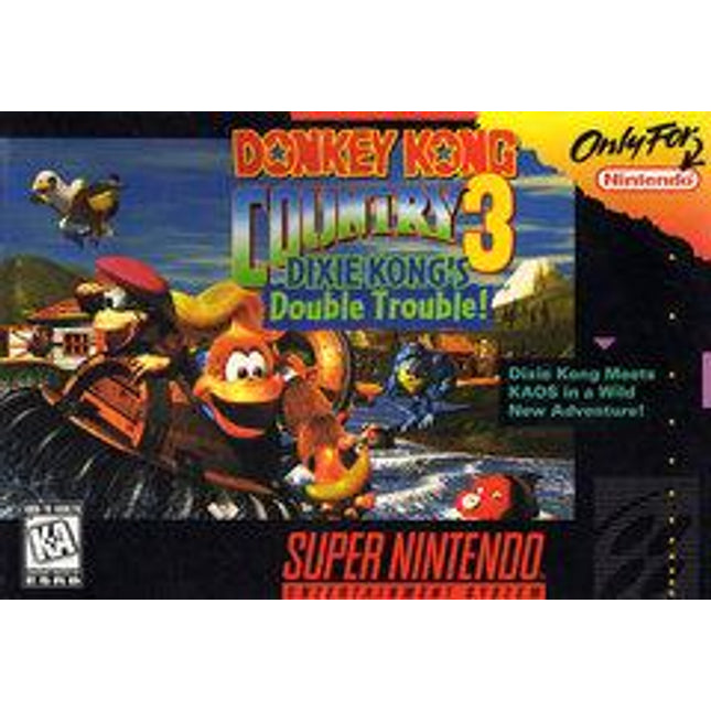 Donkey Kong Country 3 - Super Nintendo