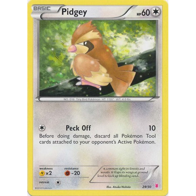 Pidgey (29/30) [XY: Trainer Kit 1 - Wigglytuff]