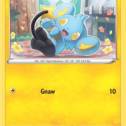 Shinx (049/172) [Sword & Shield: Brilliant Stars]