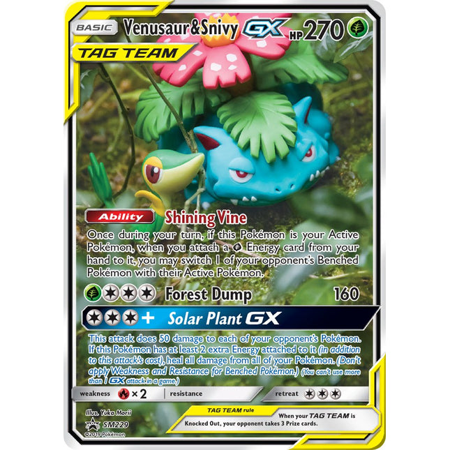 Venusaur & Snivy-GX [SM Black Star Promos]