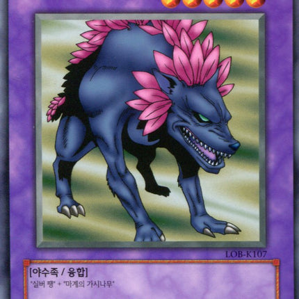 Flower Wolf - LOB-K107 - Korean - Yu-Gi-Oh - Near Mint - Rare - Legend of Blue Eyes White Dragon