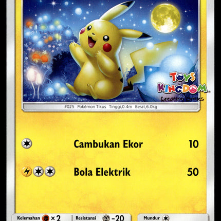 Pikachu - 172/SM-P - NM - Indonesian Toys Kingdom - Promo - Pokemon - B1-68