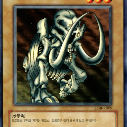 Mammoth Graveyard - LOB-K009 - Korean - Yu-Gi-Oh - Near Mint - Common - Legend of Blue Eyes White Dragon