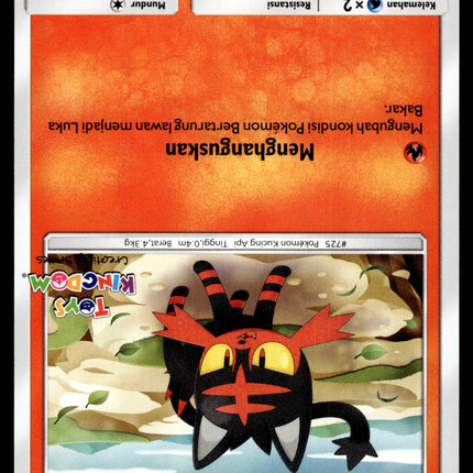 Litten - 170/SM-P - NM - Indonesian Toys Kingdom - Promo - Pokemon - B1-67