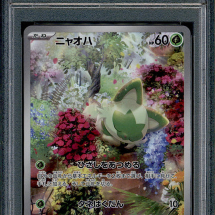 Sprigatito - 075/073 - PSA 10 - AR Japanese - SV1a - Pokemon - 55773