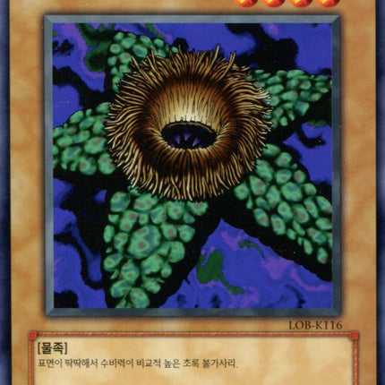 Armored Starfish - LOB-K116 - Korean - Yu-Gi-Oh - Near Mint - Common - Legend of Blue Eyes White Dragon