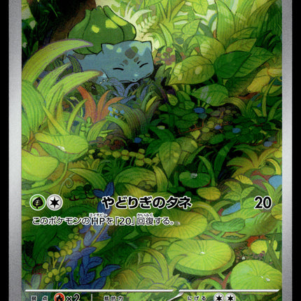 Bulbasaur - 166/165 - NM - Japanese AR - 151 - Pokemon - A8-29