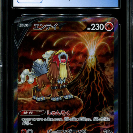 Entei V - 213/172 - CGC 10 - Special Art Rare - VSTAR Universe - Pokemon - 56111