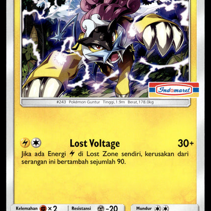 Raikou - 087/SM-P - NM - Indonesian Indomaret - Promo - Pokemon - B1-61