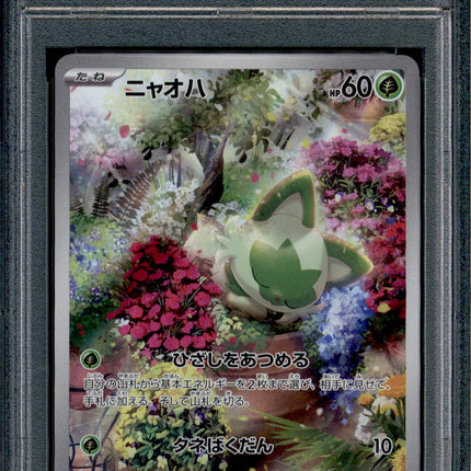 Sprigatito - 075/073 - PSA 10 - AR Japanese - SV1a - Pokemon - 55778
