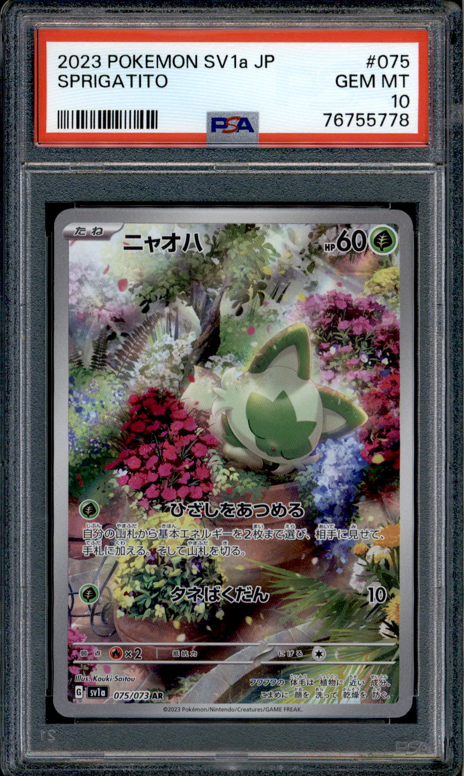 Sprigatito - 075/073 - PSA 10 - AR Japanese - SV1a - Pokemon - 55778 Squeaks Game World Sprigatito - 075/073 - PSA 10 - AR Japanese - SV1a - Pokemon - 55778 Squeaks Game World