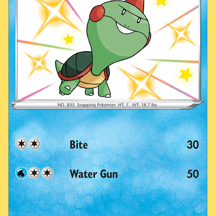 Chewtle (SV028/SV122) [Sword & Shield: Shining Fates]