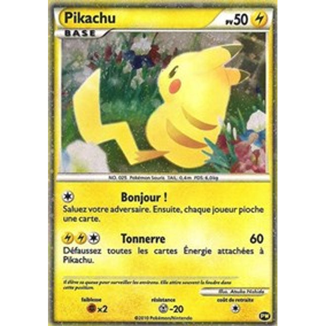 Pikachu (French) [Pikachu World Collection Promos]