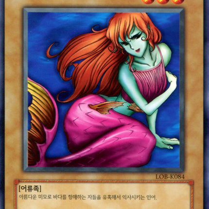 Enchanting Mermaid - LOB-K084 - Korean - Yu-Gi-Oh - Near Mint - Common - Legend of Blue Eyes White Dragon