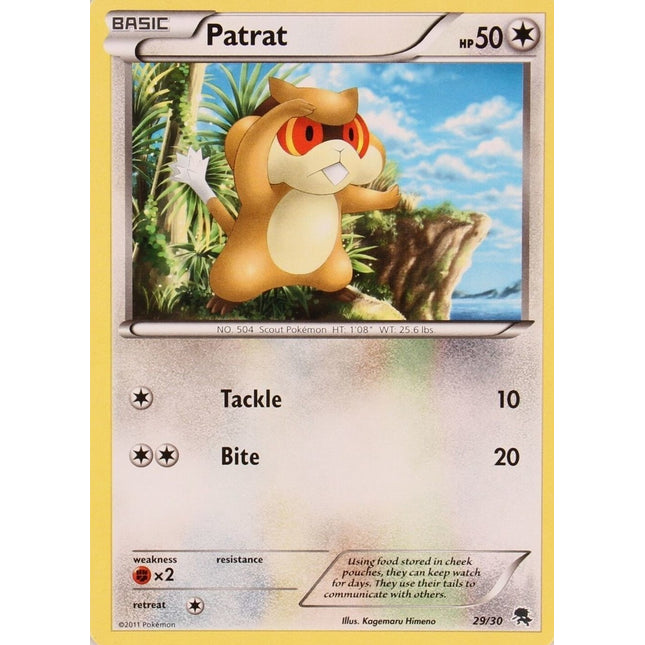 Patrat (29/30) [Black & White: Trainer Kit - Zoroark]