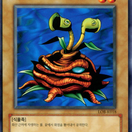 Firegrass - LOB-K018 - Korean - Yu-Gi-Oh - Near Mint - Common - Legend of Blue Eyes White Dragon