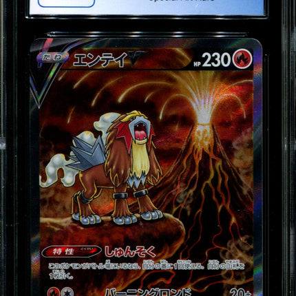 Entei V - 213/172 - CGC 10 - Special Art Rare - VSTAR Universe - Pokemon - 56114