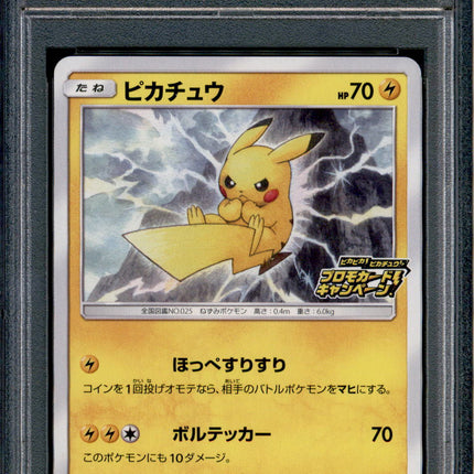 Pikachu - 126/S-P - PSA 10 - Promo - PikaPika Event - Pokemon Japanese - 21371