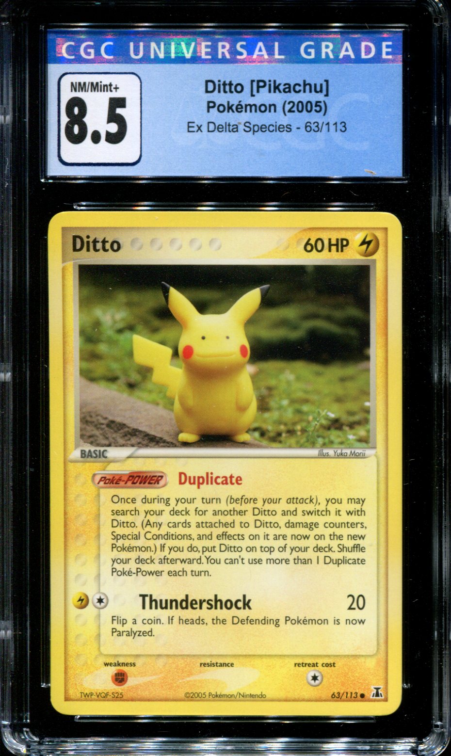 Ditto Triumphant, Pokémon