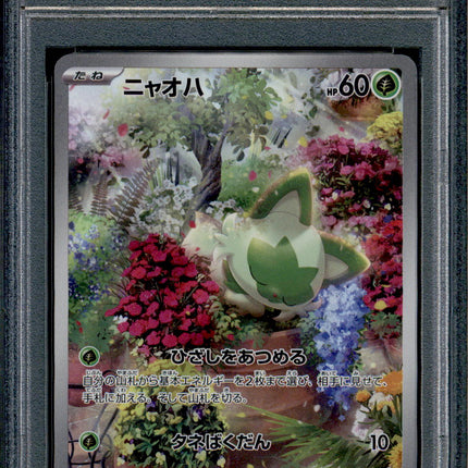 Sprigatito - 075/073 - PSA 10 - AR Japanese - SV1a - Pokemon - 55782