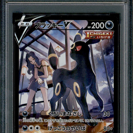 Umbreon V - 244/184 - PSA 10 - CSR - Alt Art - Vmax Climax - Pokemon - 65403