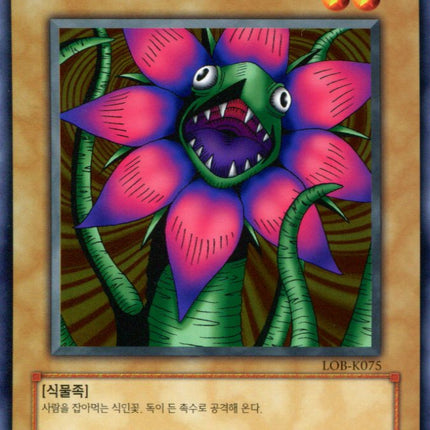 Man Eater - LOB-K075 - Korean - Yu-Gi-Oh - Near Mint - Common - Legend of Blue Eyes White Dragon